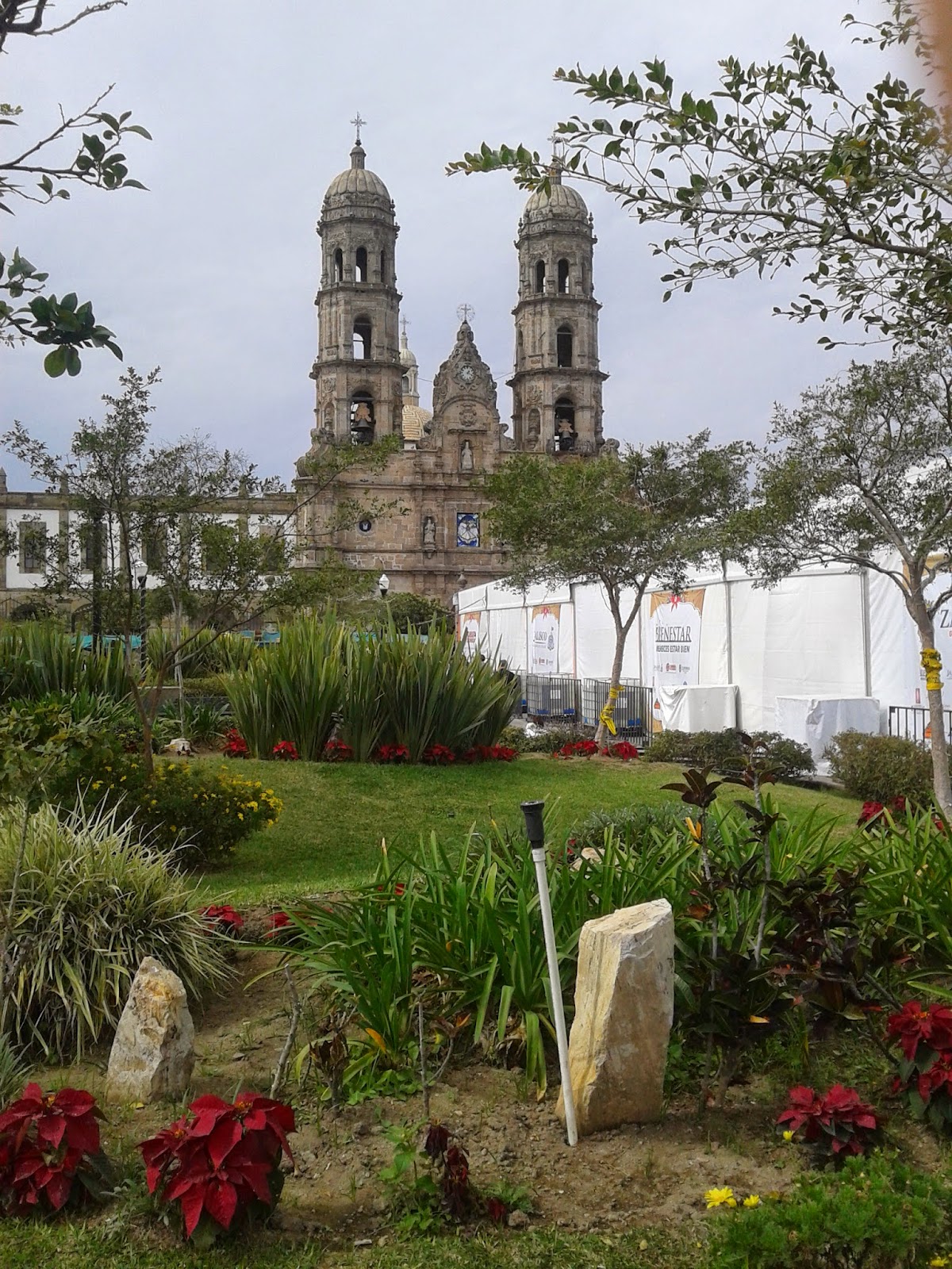 vista desde un jardin de la Basilica de Zapopan 